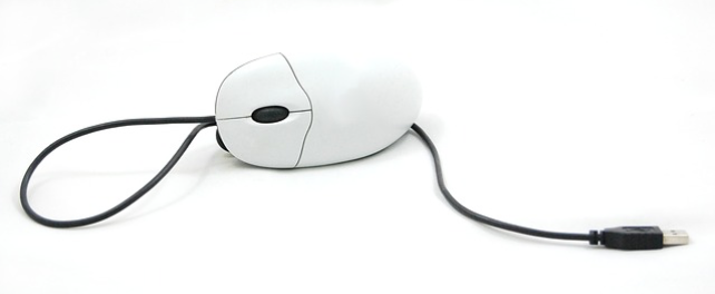 mouse