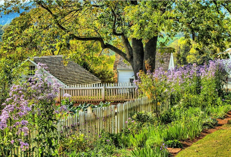 tidy garden